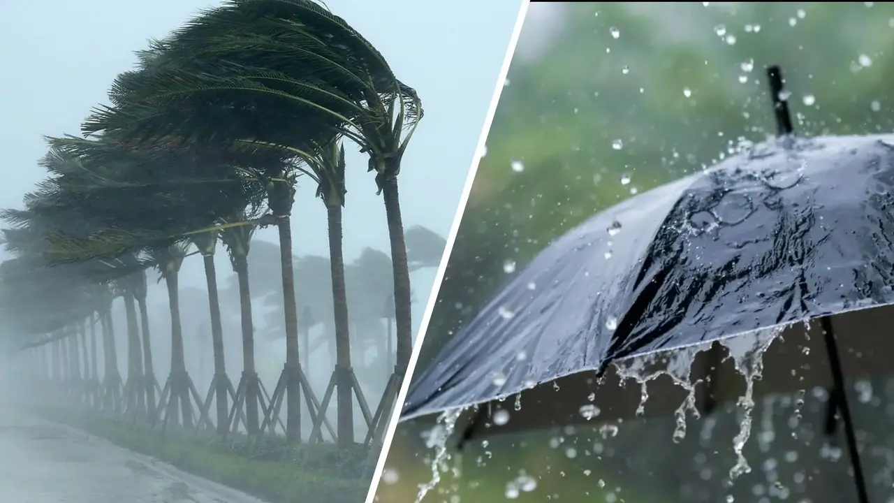 الأرصاد تكشف خريطة الطقس خلال آخر 72 ساعة من شهر أمشير